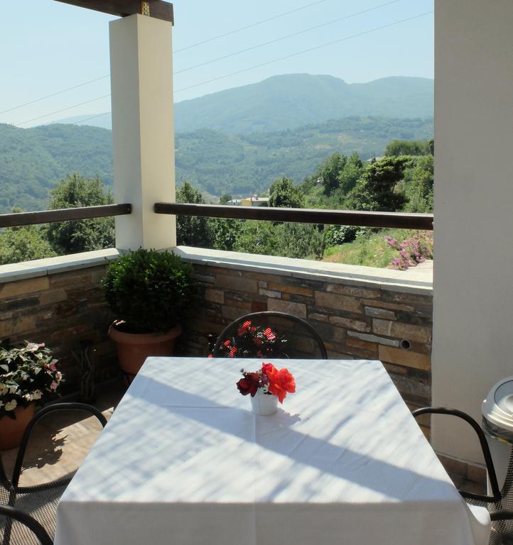 Guesthouse Kapaniaris Zagora Exterior photo