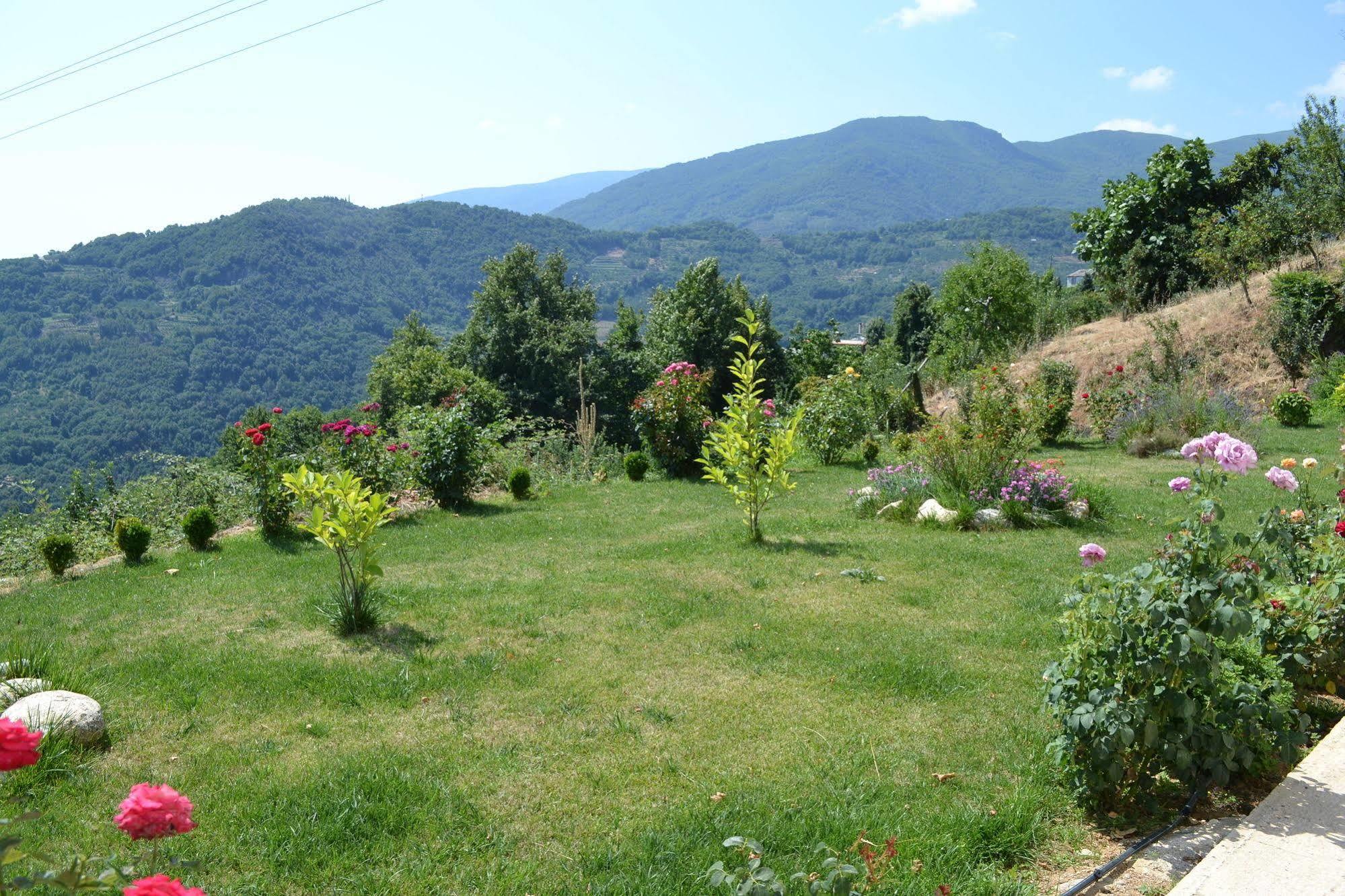 Guesthouse Kapaniaris Zagora Exterior photo